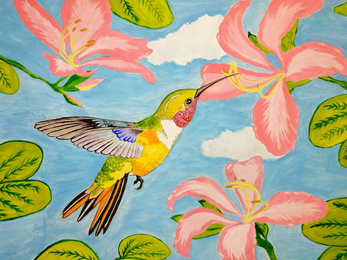 Колибри в стиле Природа на Illustrators.ru