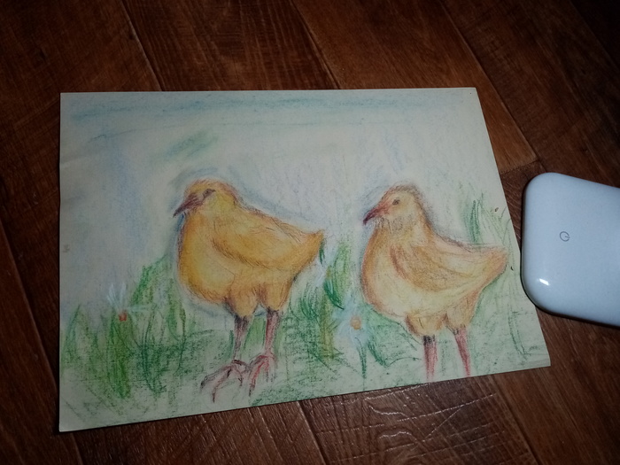 Два цыплёнка 