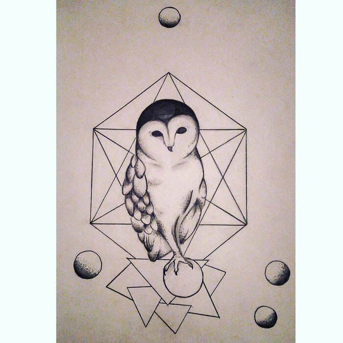 Сова с элементами графики