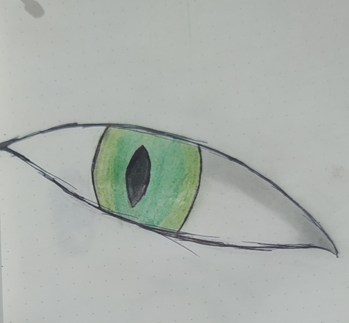 Кошачий глаз