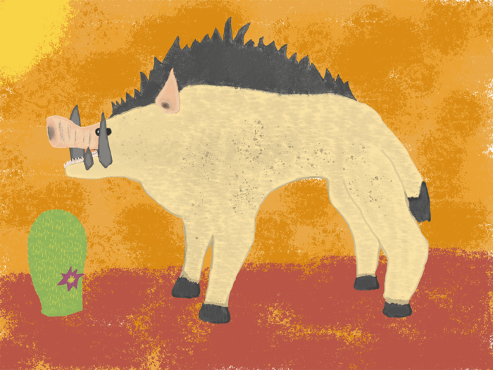 Дикий кабан-хищник на охоте в пустыне