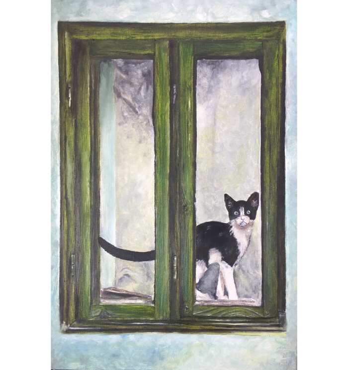 Кот в окне