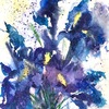 Irises's time 