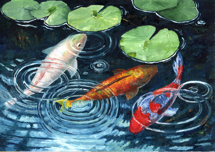 Карпы синие 