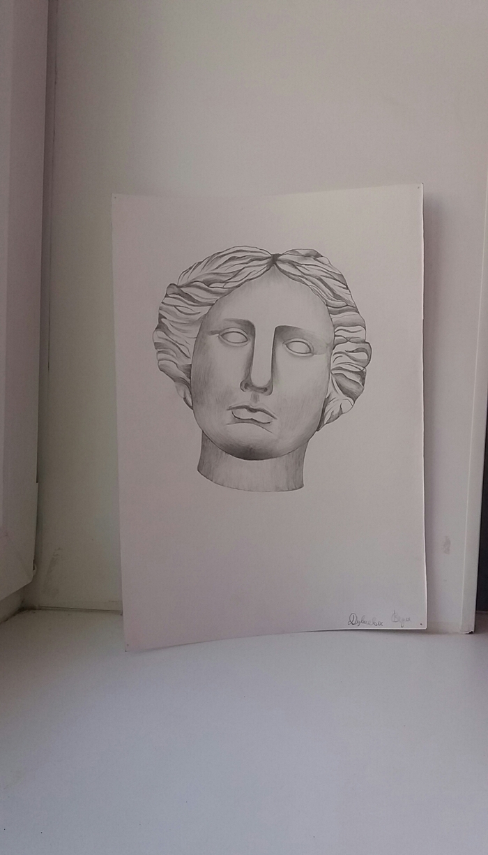 Портрет Венеры 