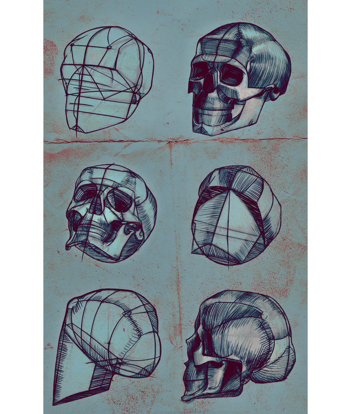 PSD файлы черепов и построения болванок на отдельных слоях