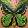 Картина маслом «Бабочка»
