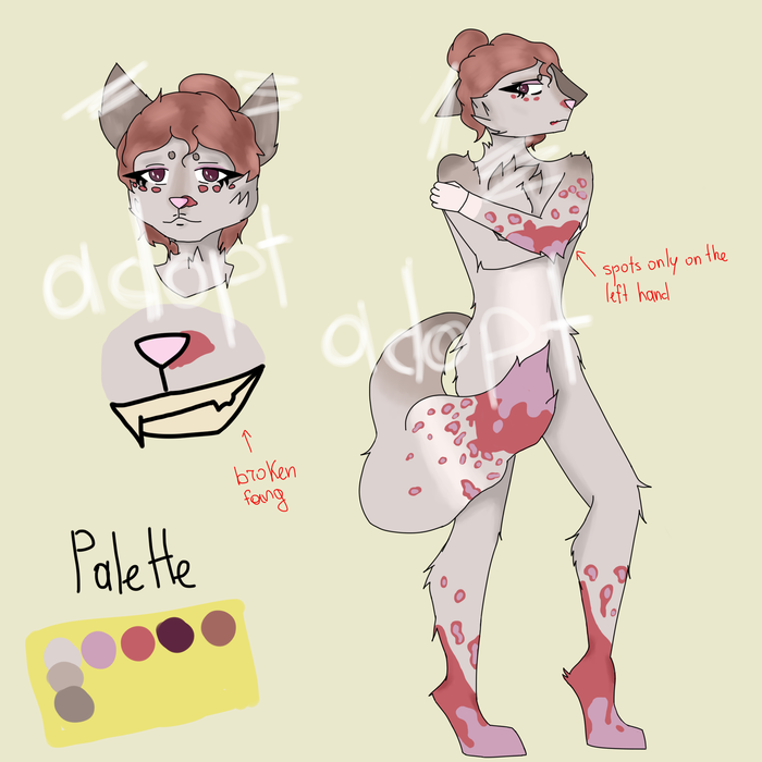 Создание персонажа