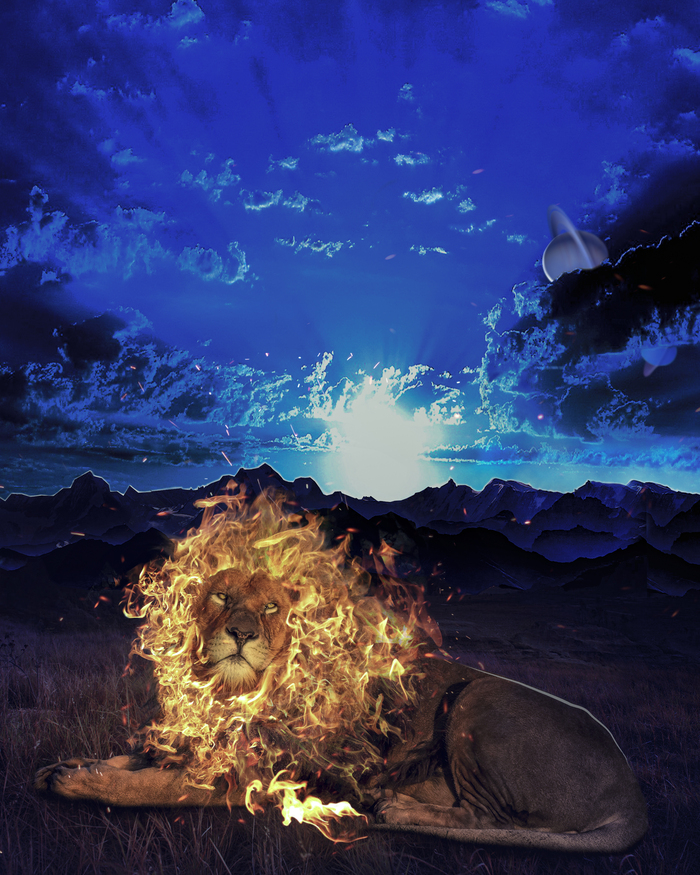 Огненный  лев