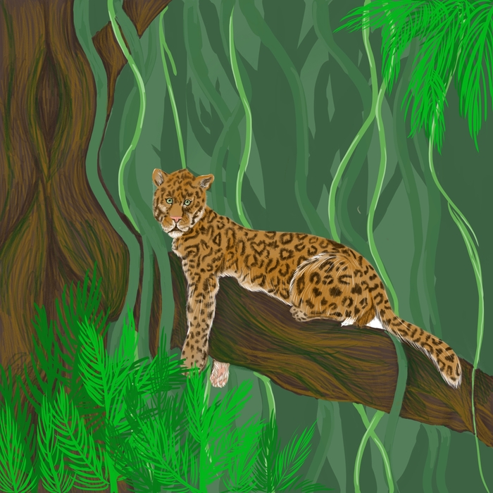 Безмятежные джунгли