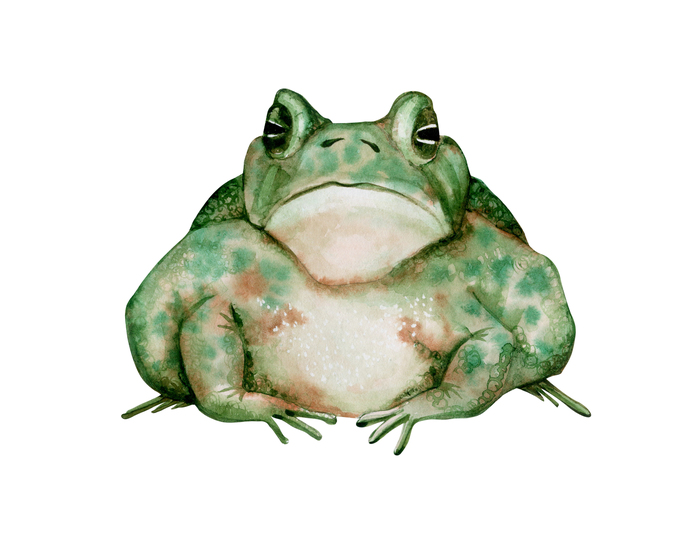 Зелёная жаба