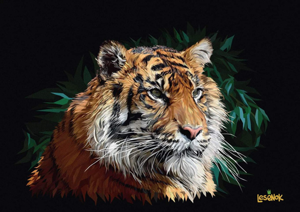 Amur Tiger 