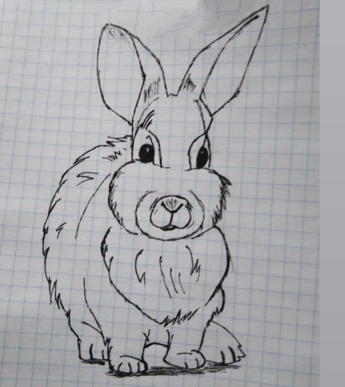 Кролик или зайчик