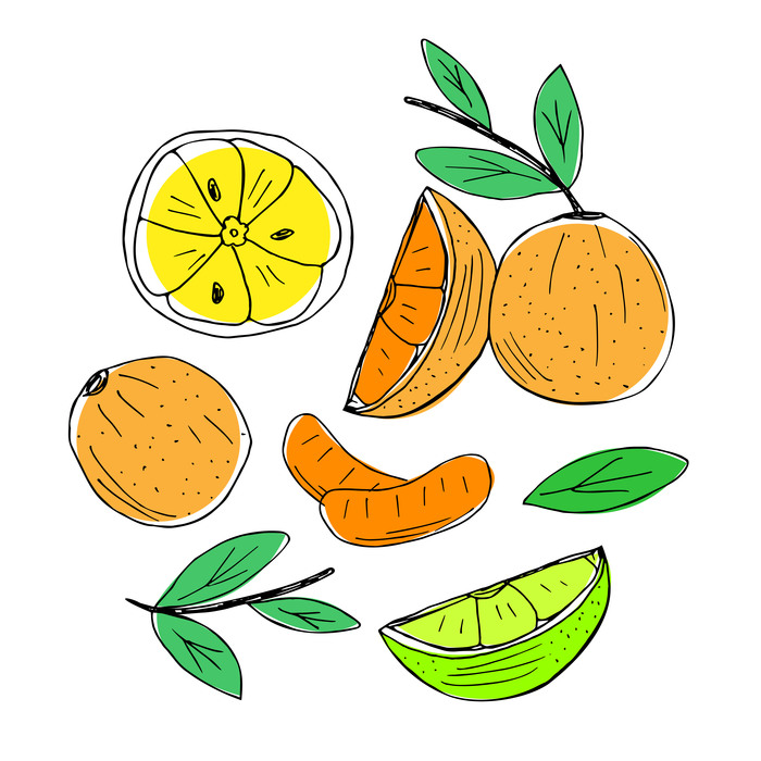 набор нарисованных вручную разноцветных фруктовых элементов из апельсина или мандарина, лайма 