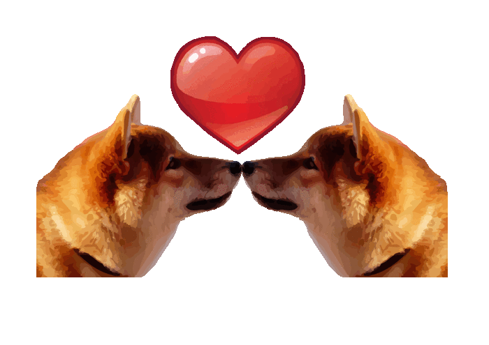 собачья любовь