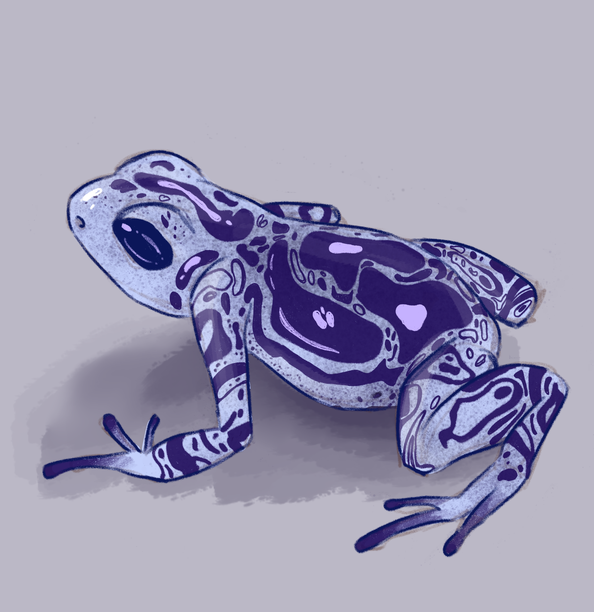 Необычная лягушка в стиле 2D, Другое, Животные на Illustrators.ru