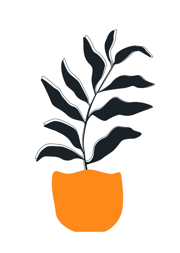 Цветок в горшке