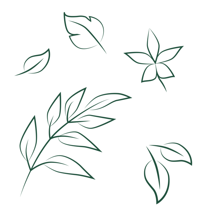 leaves icons
