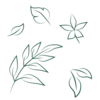 leaves icons