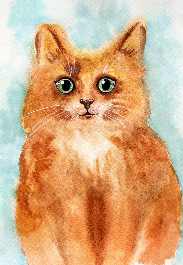 Рыжий котенок