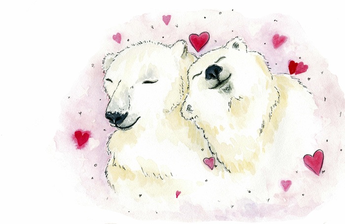 Влюбленные медведи