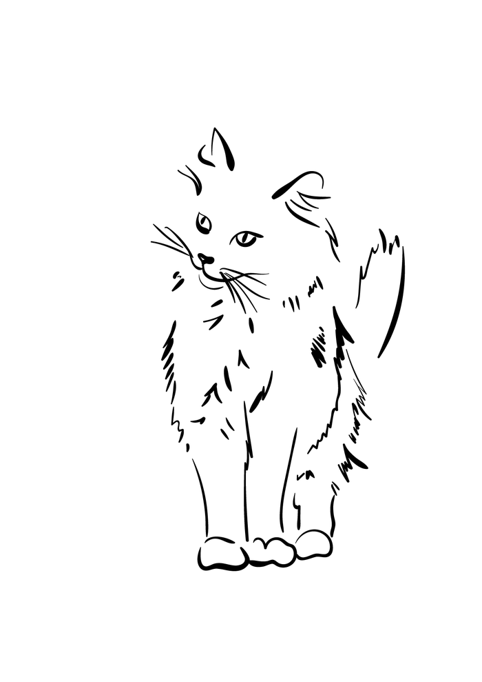 Кот Шелби Line Art