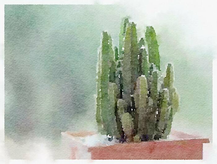 Акварельный кактус