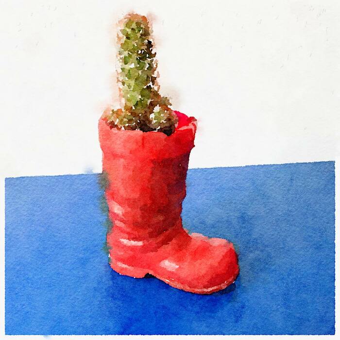 Акварельный кактус