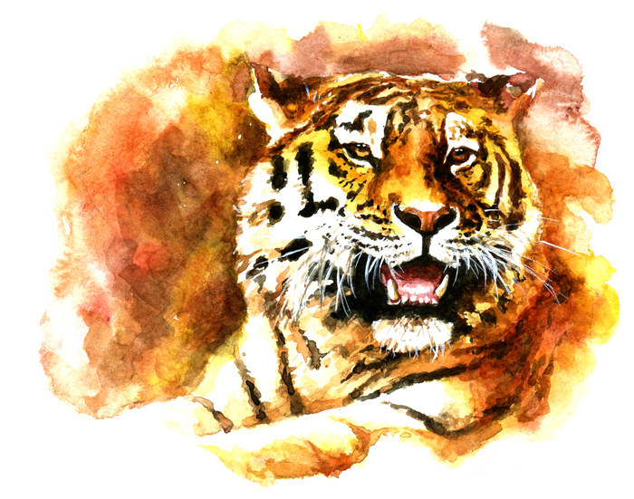 Цифровая иллюстрация Тигр