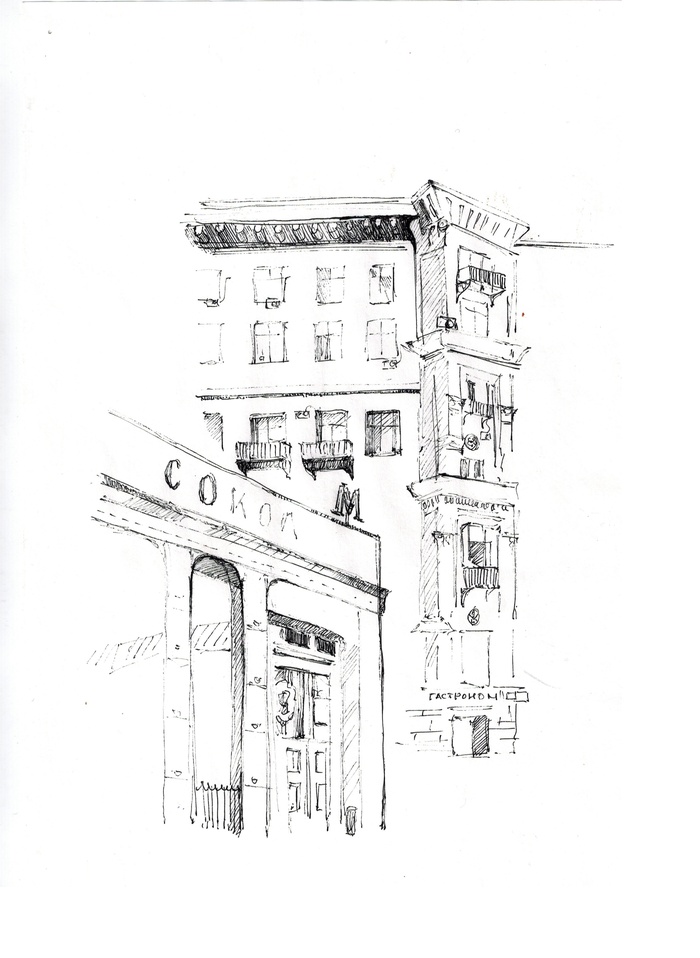 Черная ручка сокола