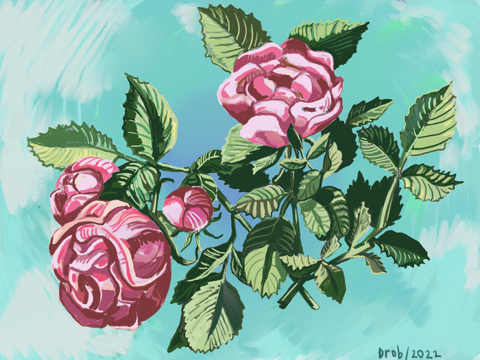 Розовый куст в стиле Декоративный на Illustrators.ru