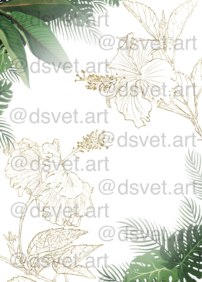 Ботаническая иллюстрация / гибискус