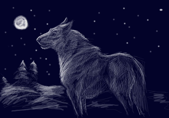 волк в лунную зимнюю ночь