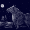 волк в лунную зимнюю ночь