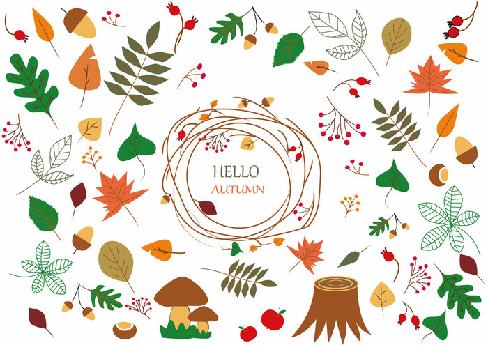 Красочная осень