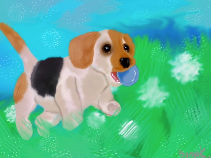 Майский пёс.