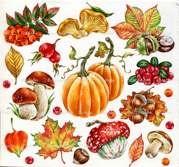 " Осенний клипарт " в стиле Декоративный, Живопись,