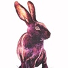Иллюстрация Кролик