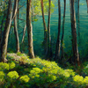 Красочный лес с озером