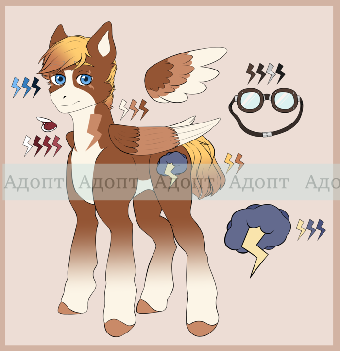 Пони (Адопты)