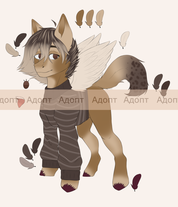 Пони (адопт)