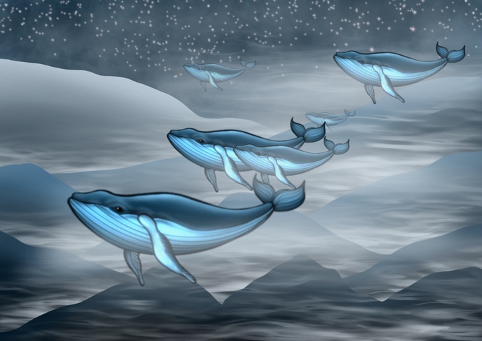 Киты в тумане