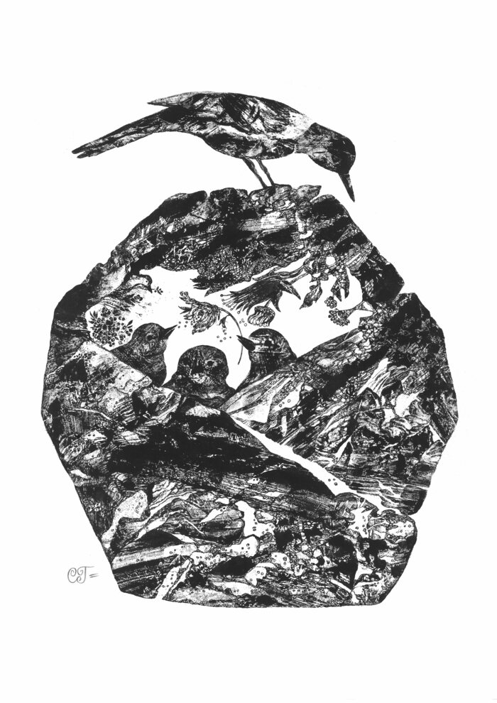 Птицы (постер на А3, плотность бумаги 300)