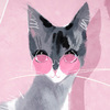 Кошка в розовых очках