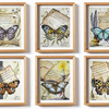 Акварельные картины серия "Бабочки. Сонеты Шекспира"