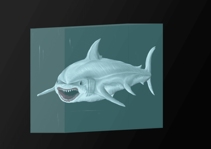 акула в формалине