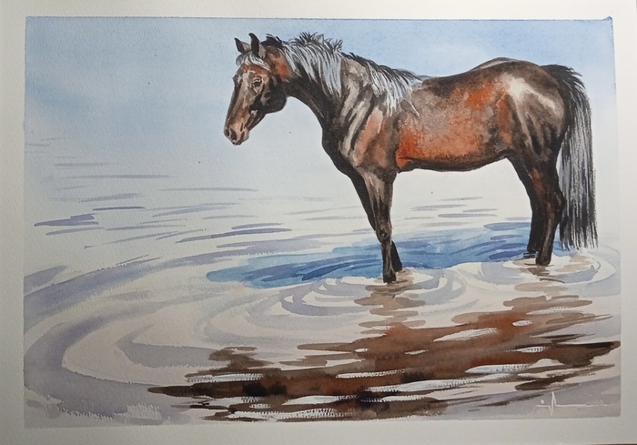 Водяная лошадка 02.25