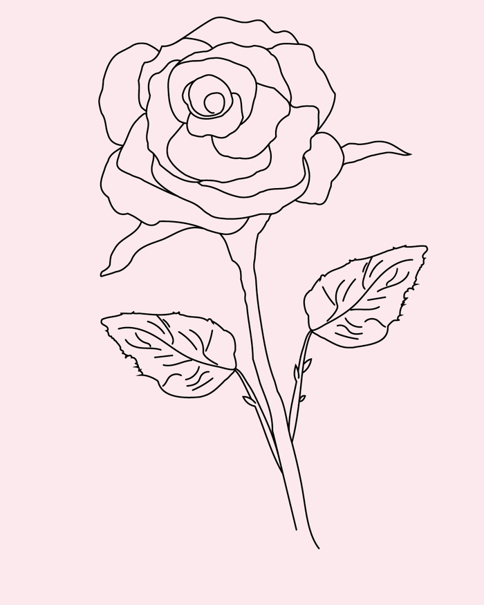 Rose