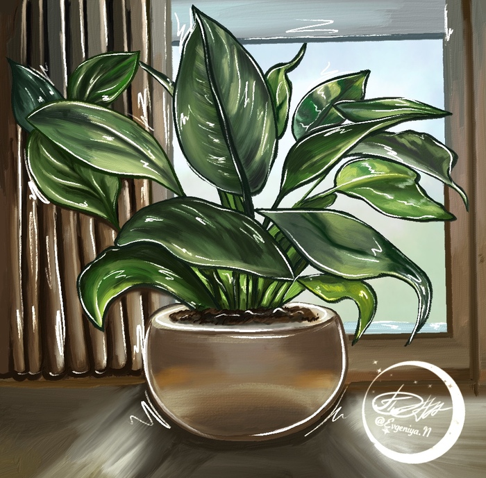 Растение в горшке