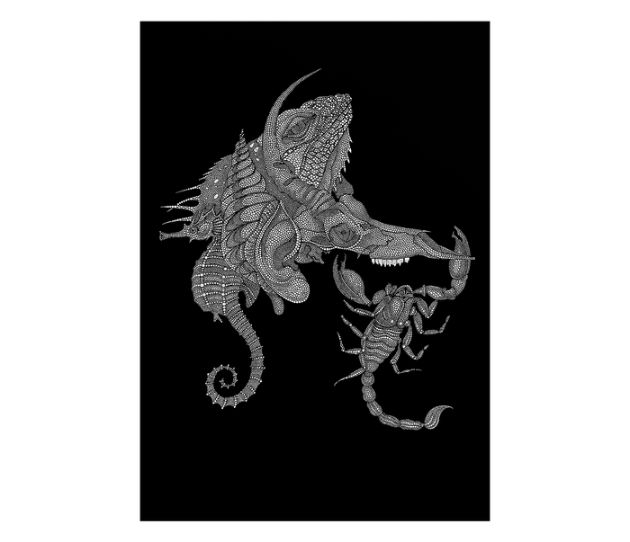 Чёрно-белые сны 